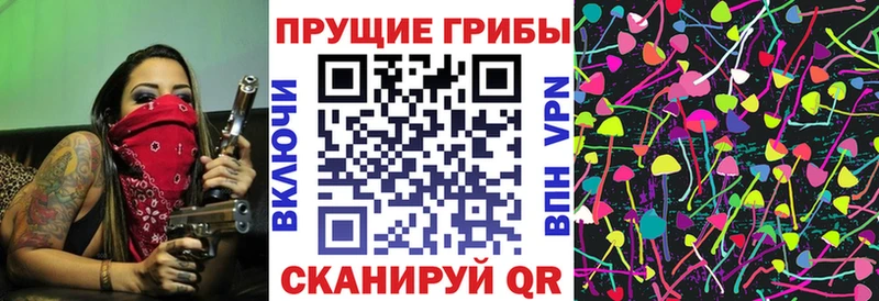Псилоцибиновые грибы мицелий MEGA ТОР Отрадный
